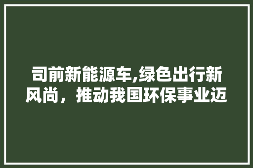 司前新能源车,绿色出行新风尚，推动我国环保事业迈向新高度