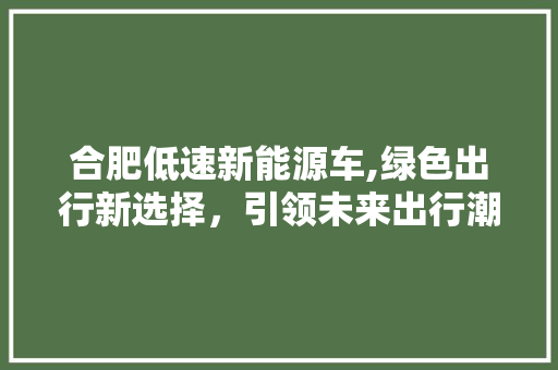 合肥低速新能源车,绿色出行新选择，引领未来出行潮流