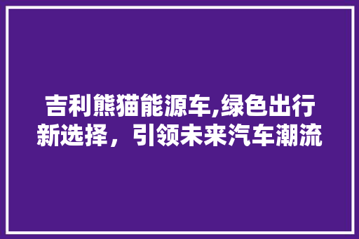 吉利熊猫能源车,绿色出行新选择，引领未来汽车潮流