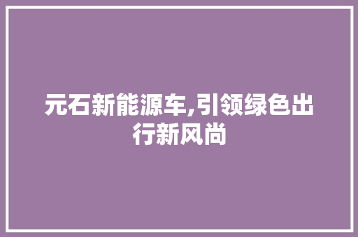 元石新能源车,引领绿色出行新风尚