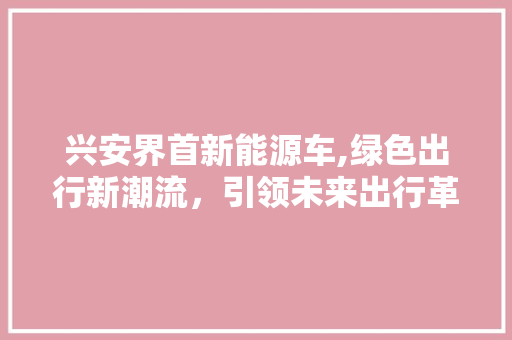 兴安界首新能源车,绿色出行新潮流，引领未来出行革命