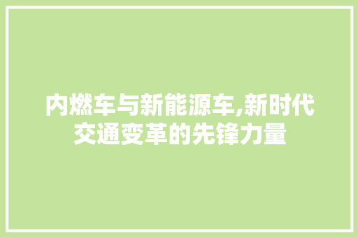 内燃车与新能源车,新时代交通变革的先锋力量