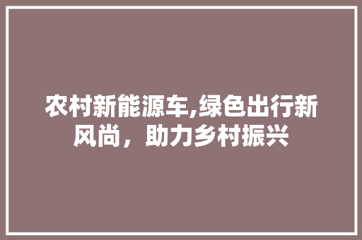 农村新能源车,绿色出行新风尚，助力乡村振兴