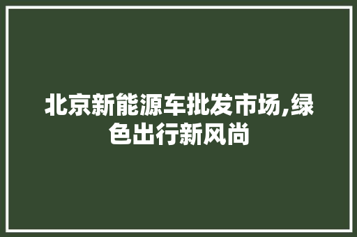 北京新能源车批发市场,绿色出行新风尚