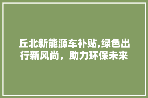 丘北新能源车补贴,绿色出行新风尚，助力环保未来