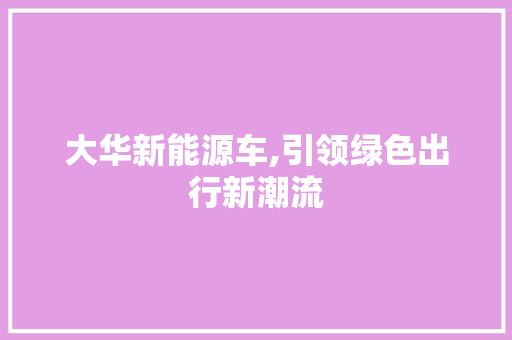 大华新能源车,引领绿色出行新潮流