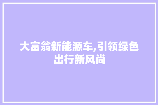 大富翁新能源车,引领绿色出行新风尚 自动驾驶