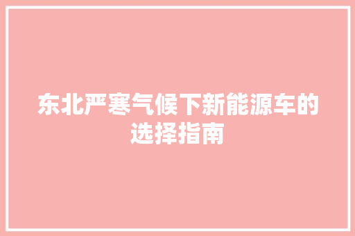东北严寒气候下新能源车的选择指南 新车资讯