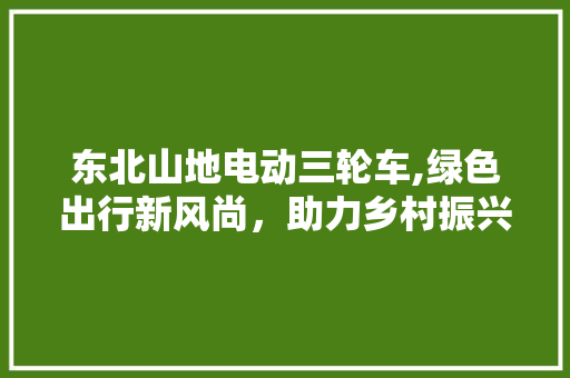 东北山地电动三轮车,绿色出行新风尚，助力乡村振兴