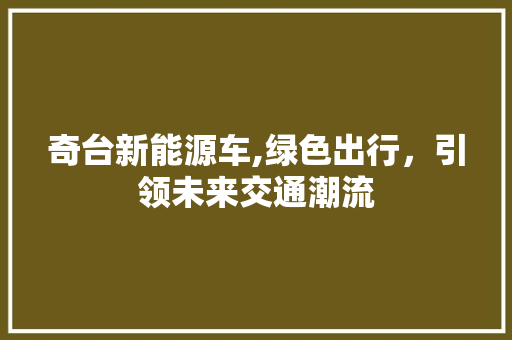 奇台新能源车,绿色出行，引领未来交通潮流