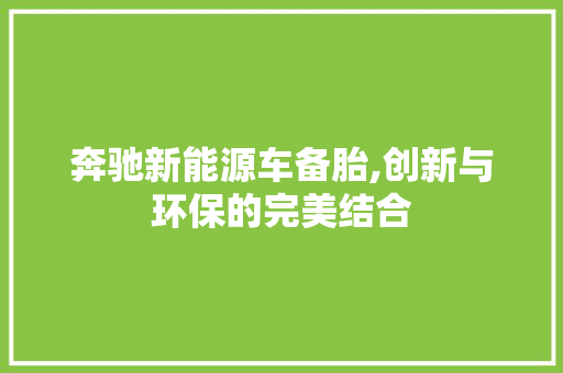 奔驰新能源车备胎,创新与环保的完美结合