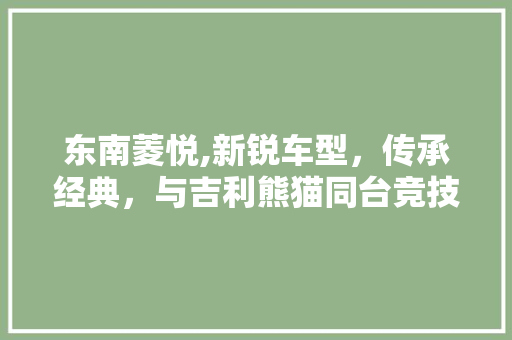 东南菱悦,新锐车型，传承经典，与吉利熊猫同台竞技