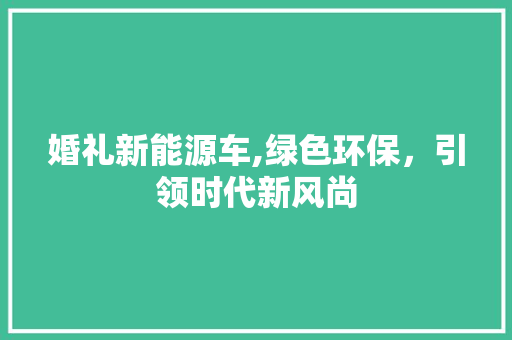 婚礼新能源车,绿色环保，引领时代新风尚
