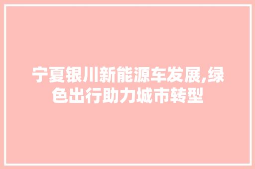 宁夏银川新能源车发展,绿色出行助力城市转型