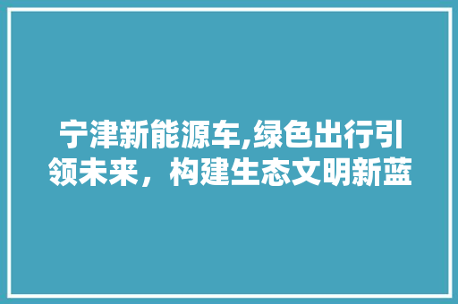 宁津新能源车,绿色出行引领未来，构建生态文明新蓝图