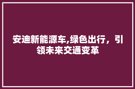 安迪新能源车,绿色出行，引领未来交通变革