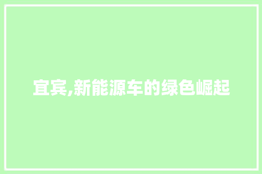 宜宾,新能源车的绿色崛起