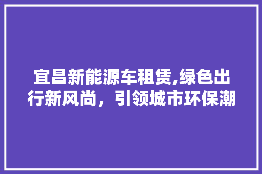 宜昌新能源车租赁,绿色出行新风尚，引领城市环保潮流