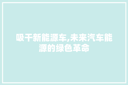 吸干新能源车,未来汽车能源的绿色革命