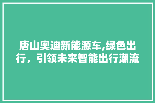 唐山奥迪新能源车,绿色出行，引领未来智能出行潮流 车型评测
