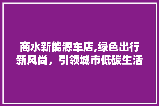 商水新能源车店,绿色出行新风尚，引领城市低碳生活