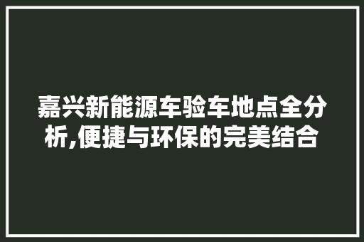 嘉兴新能源车验车地点全分析,便捷与环保的完美结合