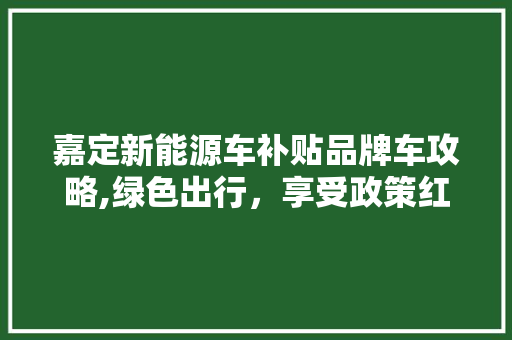 嘉定新能源车补贴品牌车攻略,绿色出行，享受政策红利