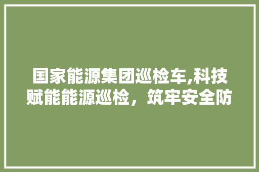 国家能源集团巡检车,科技赋能能源巡检，筑牢安全防线