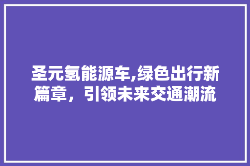 圣元氢能源车,绿色出行新篇章，引领未来交通潮流