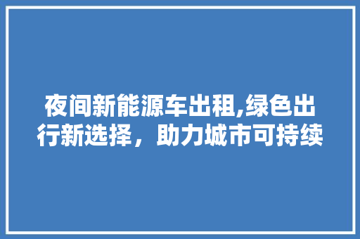 夜间新能源车出租,绿色出行新选择，助力城市可持续发展