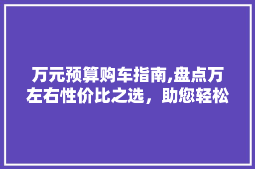 万元预算购车指南,盘点万左右性价比之选，助您轻松入手爱车