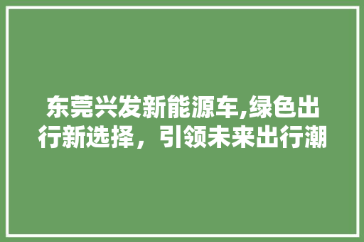 东莞兴发新能源车,绿色出行新选择，引领未来出行潮流