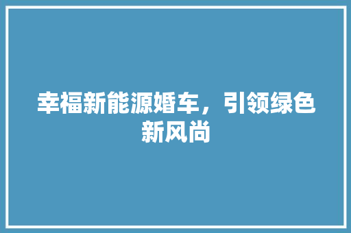 幸福新能源婚车，引领绿色新风尚