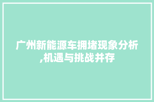 广州新能源车拥堵现象分析,机遇与挑战并存
