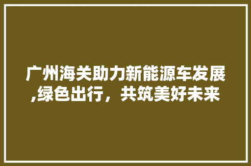 广州海关助力新能源车发展,绿色出行，共筑美好未来