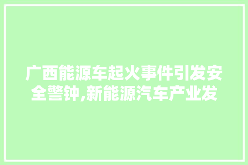 广西能源车起火事件引发安全警钟,新能源汽车产业发展需重视安全隐患 汽车配件