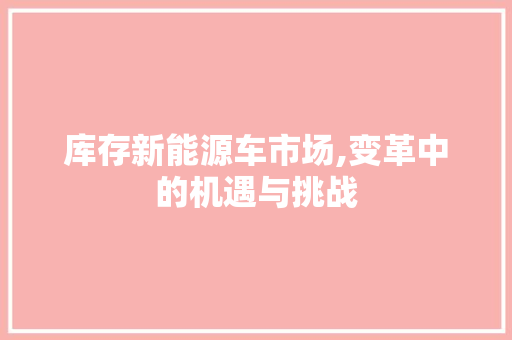 库存新能源车市场,变革中的机遇与挑战