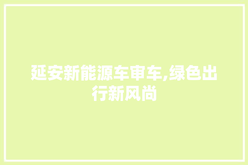 延安新能源车审车,绿色出行新风尚