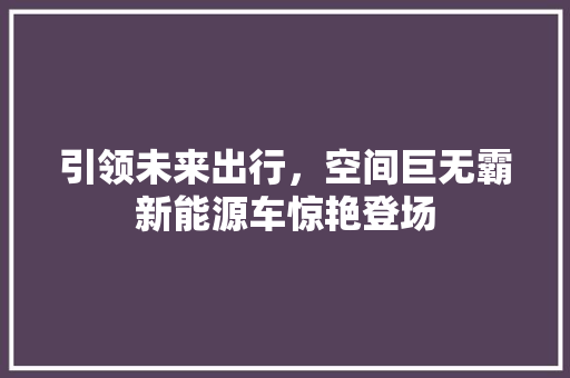 引领未来出行，空间巨无霸新能源车惊艳登场 新能源汽车