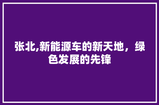 张北,新能源车的新天地，绿色发展的先锋