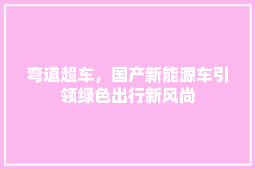 弯道超车，国产新能源车引领绿色出行新风尚 新能源汽车