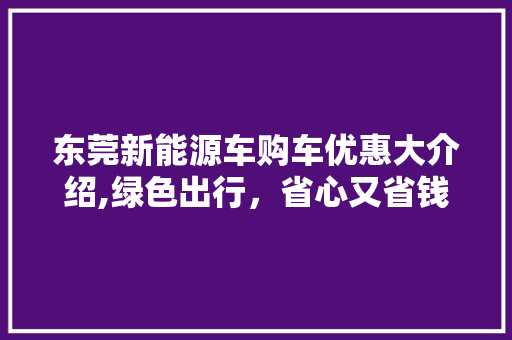 东莞新能源车购车优惠大介绍,绿色出行，省心又省钱！