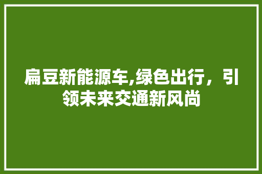 扁豆新能源车,绿色出行，引领未来交通新风尚