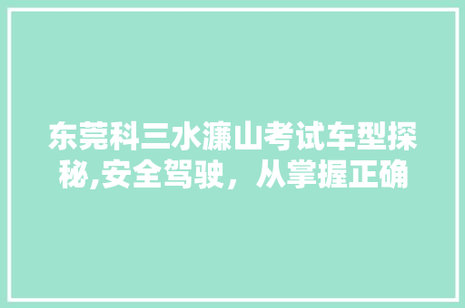 东莞科三水濂山考试车型探秘,安全驾驶，从掌握正确车型开始