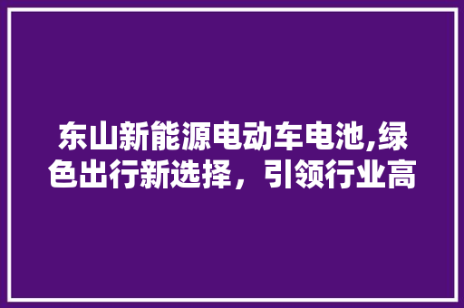 东山新能源电动车电池,绿色出行新选择，引领行业高质量发展
