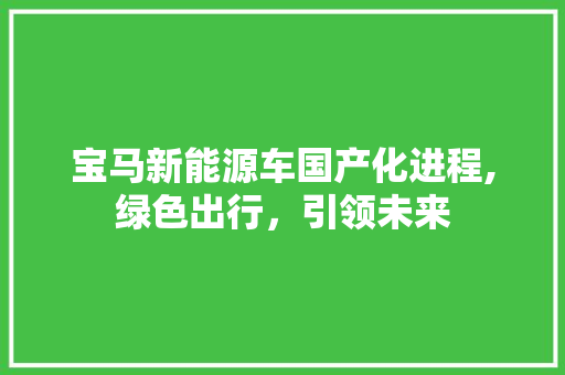 宝马新能源车国产化进程,绿色出行，引领未来