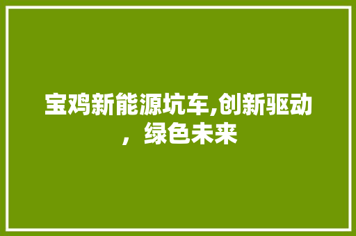 宝鸡新能源坑车,创新驱动，绿色未来