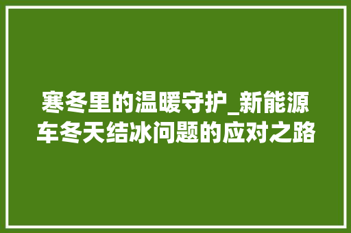 寒冬里的温暖守护_新能源车冬天结冰问题的应对之路