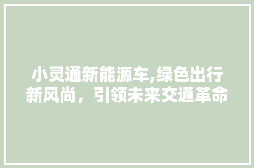 小灵通新能源车,绿色出行新风尚，引领未来交通革命