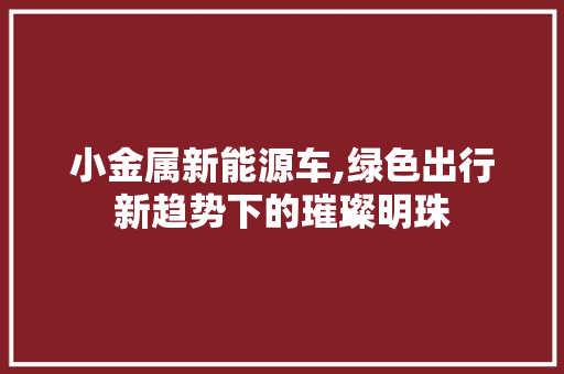 小金属新能源车,绿色出行新趋势下的璀璨明珠